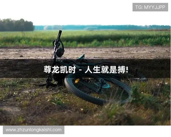 探索尊龙凯时d88的安全性与用户体验，放心投注更多选择